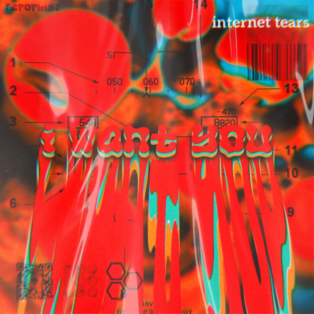 “I Want You” to Listen to the New Internet Tears&nbsp;Song